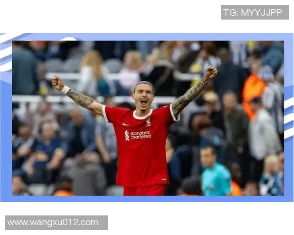 努涅斯在赛场上的崛起与挑战解析，未来能否成为足球界的新星