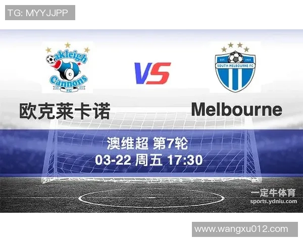 南墨尔本与欧克莱卡诺的精彩对决揭示足球战术与团队合作的魅力