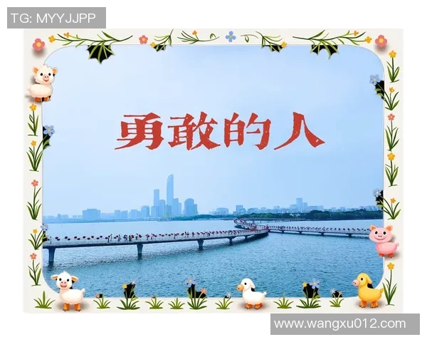 史鸿飞的传奇人生与奋斗历程探秘，启示我们追求梦想的勇气与坚持