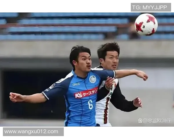 新泻天鹅与黄蜂的精彩对决揭示了球队实力与战术的较量