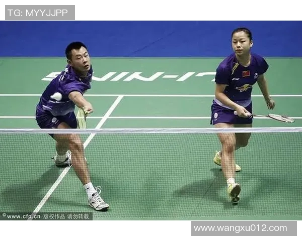 重庆羽毛球队区域防守分析及其在比赛中的影响与启示