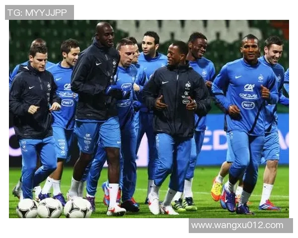 2017国际赛德国队与法国队激战回顾与精彩瞬间分析 2017国际赛德国队与法国队激战回顾与精彩瞬间分析