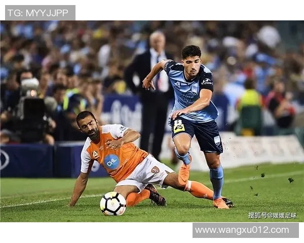 今日西部联迎战惠灵顿期待精彩对决与激烈竞争