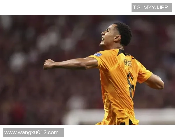 加克波：从天赋新星到足坛巨星的成长之路与未来展望